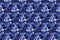 Art floral vector seamless pattern. Blue Mattiola incana in the blue foliage