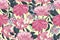 Art floral vector seamless pattern. Pink asters.