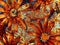 Art Grunge Flower Background