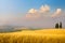 Art Italian summer countryside landscape â€“ golden fields and blue sky