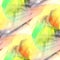 Art light birds, yellow, green background texture watercolor sea