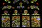 Art Nouveau floral pattern. Stained glass window.