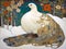 art nouveau illustration of a ptarmigan in an ornate decorative snow background