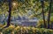 Art painting Scenic forest of fresh green deciduous trees framed by leaves, with sun casting i
