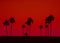 Art photo of Palm trees in silhouette against red sky