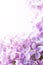 Art Spring lilac abstract background