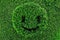 Art topiary in shape of smiling face green summer background.