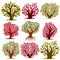 Art vector seasonal trees collection, can be used as design symbol on ecology and nature theme. Gardening theme, botany symbols.