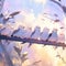 Art watercolor colorful illustration of birds on the branch, blue clouds on background. Birds in nature. Group of beautiful small