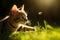 art Young cat , kitten hunting a ladybug with Back Lit Generative AI.