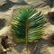 Artful arrangement of palm fronds on sandy beach