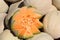 Artfully cut cantaloupe displayed at farmers market