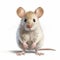 Artgerm Style Mouse Close-up On White Background