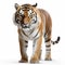 Artgerm Style Tiger Walking In Wilderness - 32k Uhd Image