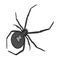 An arthropod bug is an insect.A spider, a predatory insect single icon in monochrome style vector symbol stock isometric