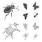 Arthropods insect beetle, moth, butterfly, fly. Insects set collection icons in black,outline style vector symbol stock