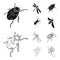 Arthropods Insect ladybird, dragonfly, beetle, Colorado beetle Insects set collection icons in black,outline style