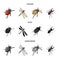 Arthropods Insect ladybird, dragonfly, beetle, Colorado beetle Insects set collection icons in cartoon,black,monochrome