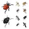 Arthropods Insect ladybird, dragonfly, beetle, Colorado beetle Insects set collection icons in cartoon,black style