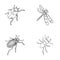 Arthropods Insect ladybird, dragonfly, beetle, Colorado beetle Insects set collection icons in outline style vector