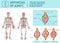 Arthrosis of Joints. Vector Illustration.