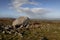 Arthur`s stone on the Gower peninsula