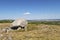 Arthur\\\'s Stone (Neolithic burial chamber), Cefn Bryn, Gower Peninsula, Swansea, South Wales, UK