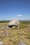 Arthur\\\'s Stone (Neolithic burial chamber), Cefn Bryn, Gower Peninsula, Swansea, South Wales, UK