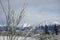 Arthurs Pass in snow