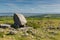 Arthurs Stone neolithic burial ground Cefn Bryn hill The Gower peninsula South Wales UK