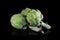 Artichoke close up. Fresh raw organic green Artichokes closeup. Isolated on black background. Healthy vegetarian food
