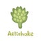 Artichoke icon. Flat illustration of artichoke vector icon isolated on white background in cartoon style.