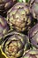 Artichokes Background Pattern