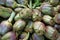 Artichokes fruit vegetables freshness vegetarian