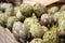 Artichokes. Vegetables market in Italy. Agricultural food.