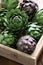 Artichokes in wooden box