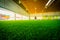 Artifact grass Indoor Soccer training field