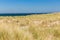 Artifical Maasvlaktestrand beach built for the Europoort Rotterdam