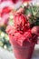 Artifical poinsettia - christmas symbol in red flower pot.