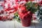 Artifical poinsettia - christmas symbol in red flower pot