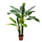 Artificial banana tree like real as modern evergreen ecological decoration for interiors