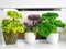 artificial bonsai flowers in pots, home interior and exterior decoration