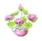 Artificial bouquet lotus flower isolated