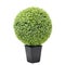 Artificial boxwood ball topiary bush tree like real as modern evergreen ecological decoration for interiors