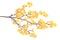 Artificial branch with yellow flowers.