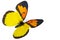 Artificial butterfly