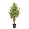 Artificial camelia tree with buds like real as modern evergreen ecological decoration for interiors