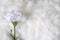 Artificial Carnation on White Wool Background