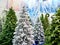 Artificial Christmas trees spruce in store