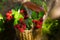 Artificial composition in the garden. wicker basket with raspberries and mushrooms